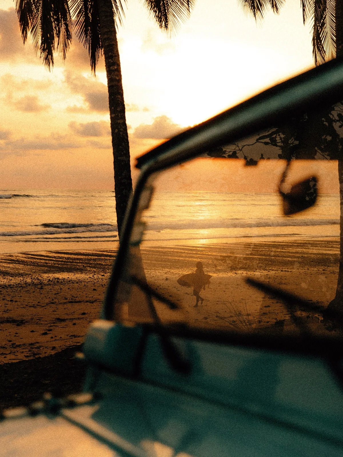 Vehículo junto a las palmeras al atardecer, del Instagram de Mantarraya